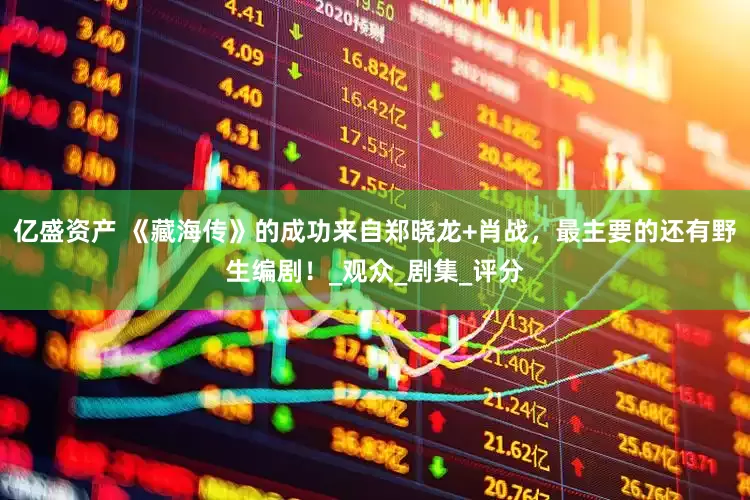 亿盛资产 《藏海传》的成功来自郑晓龙+肖战，最主要的还有野生编剧！_观众_剧集_评分