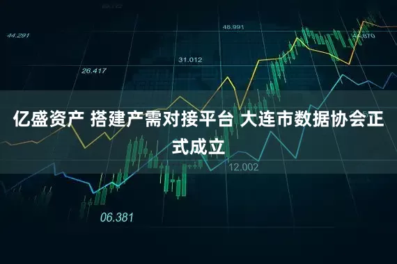 亿盛资产 搭建产需对接平台 大连市数据协会正式成立